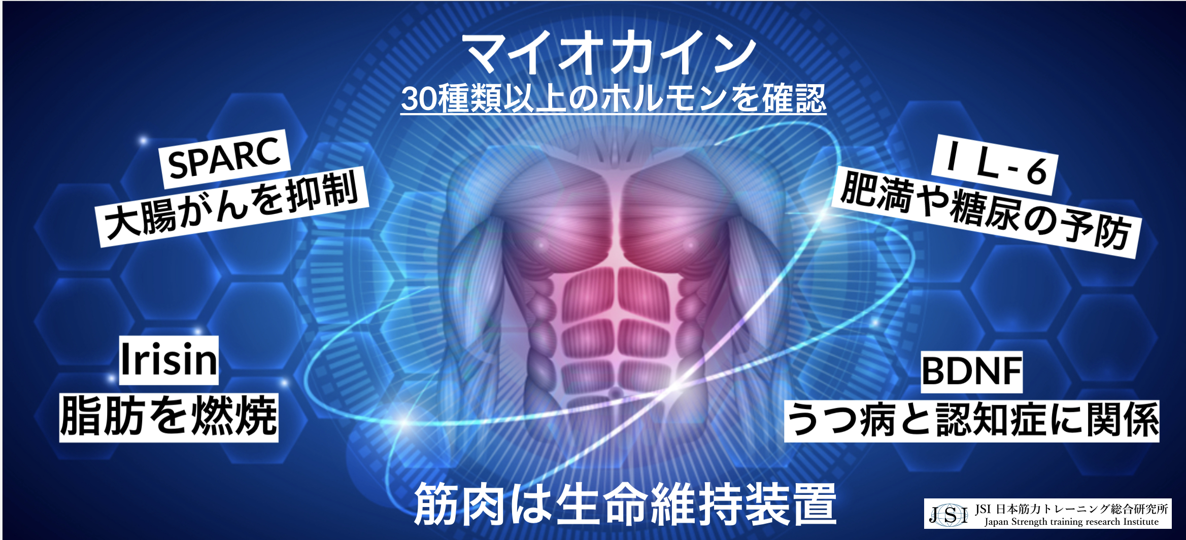 日本筋力トレーニング総合研究所（JSI）画像